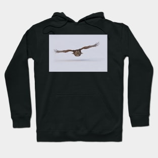 Great Gray Owl in Flight - Ottawa, Ontario Hoodie